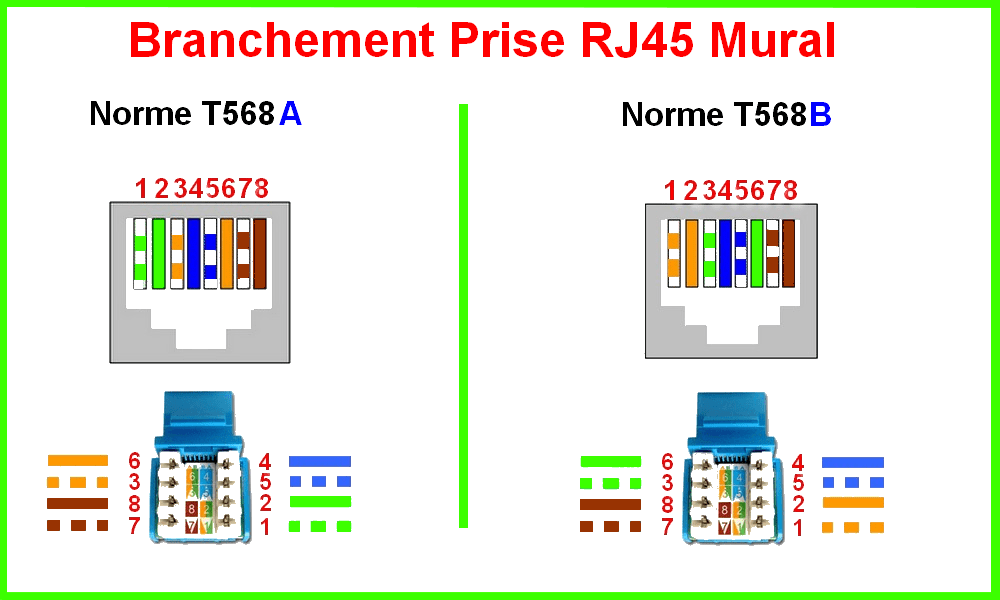 schema cablage branchement prise rj45 murale